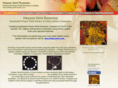 heavensentrosaries.com