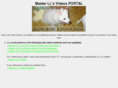 themasterll.net