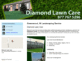 diamondlawncarein.com