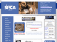 kingsspca.com