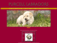 purcelllabradors.com