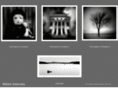 williamsadovsky.com