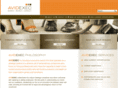 avidexec.com