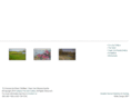 celestefineartsgallery.com