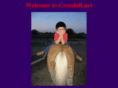crosshill.net