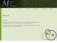 mdtechaudesigns.com