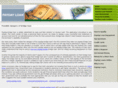 theolympics2004.com