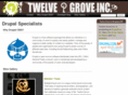 twelvegrove.com