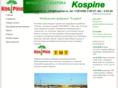 Kospine.ru