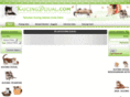 kucingdijual.com