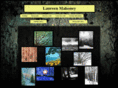 laureenmahoney.com