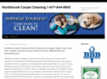 northbrookcarpetcleaning.com