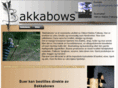 bakkabows.com