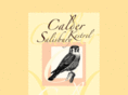 calderkestrel.com