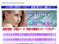 carmel-silk.com