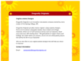 dragonflyoriginals.net