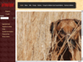 lanerr.com