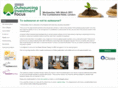 outsourcinginvestmentfocus.com