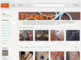 ttereve.com