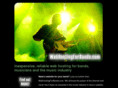 webhostingforbands.com