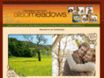 alisomeadows.com