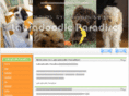 labradoodleparadise.com