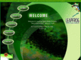 leapfrogdmc.com