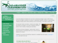 salamandercleaners.com