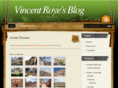 vincentroye.com