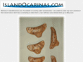 islandocarinas.com