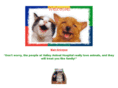 valley-animal.com
