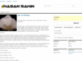 hasansahin.net