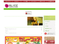 hotel-alice.net
