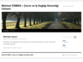 mehmetozmen.net