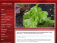 newhopewholehealth.com