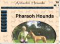 pharaohhound.co.uk