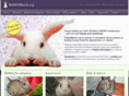 rabbitmatch.org