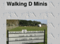 walkingdminis.com