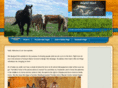 bangtailranch.com