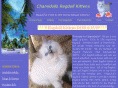 chamidollsragdollkittens.com