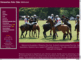 scottishpolo.org