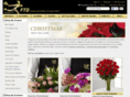 christmasflower.com