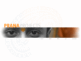 pranaprojects.com