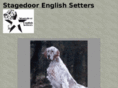 stagedoorenglishsetters.com