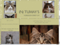 tumays.com