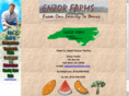 enzorfarms.com