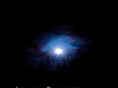 lousyphotography.com