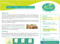 mintsf.com