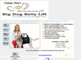bigdogbellylift.org