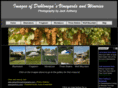 dahlonegavineyards.com